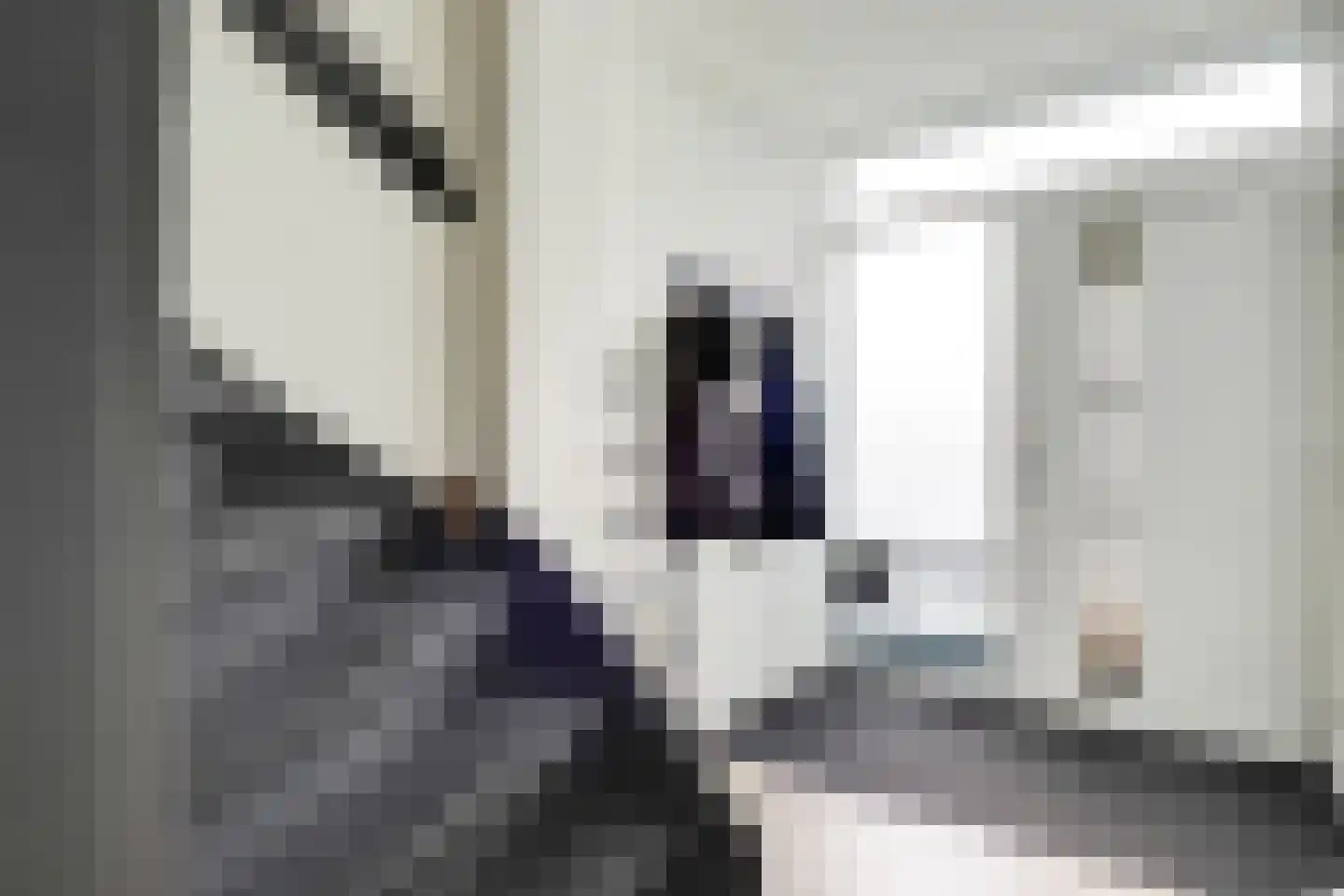 Europasingel 7 Lopik thumbnail 6