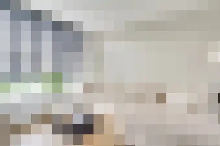 Europasingel 7 Lopik thumbnail 8
