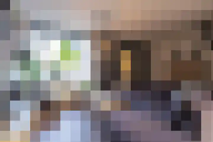 Europasingel 84 Wervershoof thumbnail 13