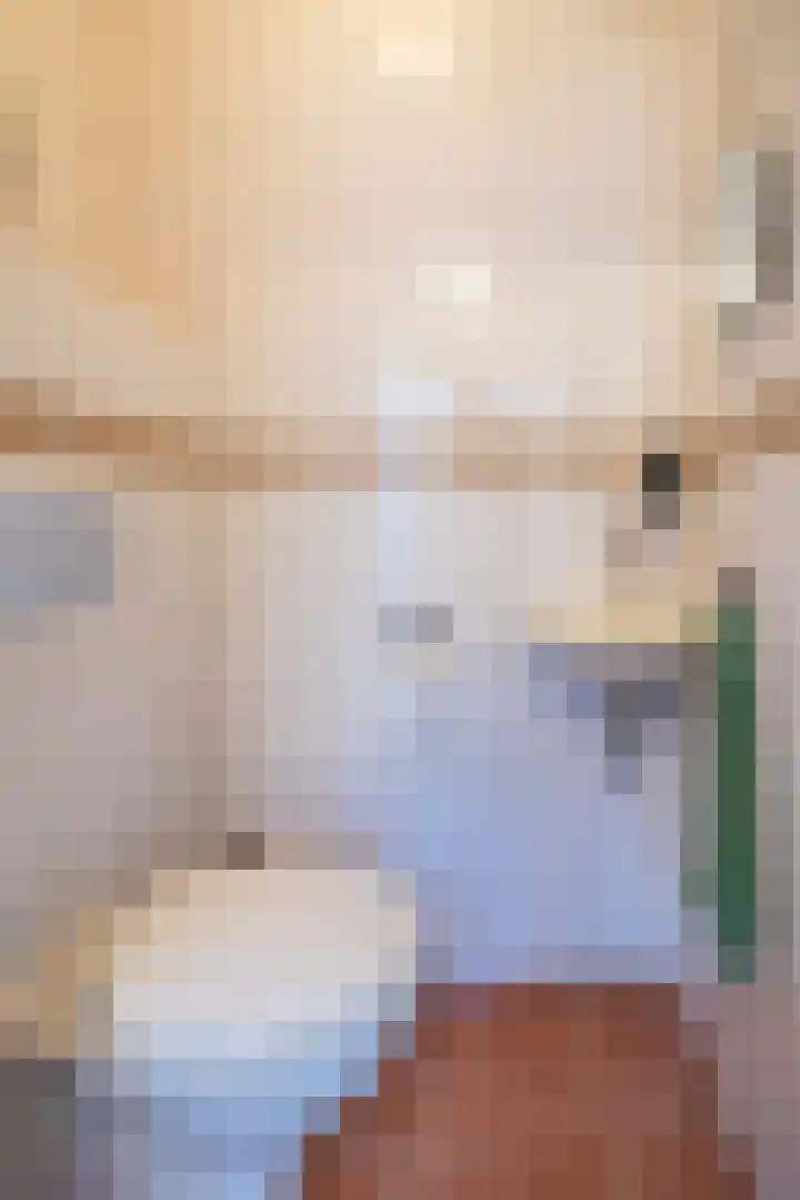 Europasingel 84 Wervershoof thumbnail 31