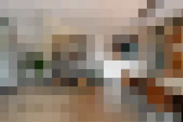 Europasingel 86 Wervershoof thumbnail 15