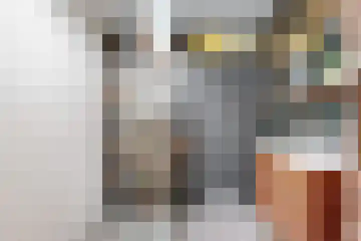 Europasingel 86 Wervershoof thumbnail 24