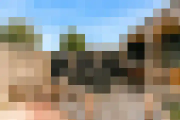 Europasingel 86 Wervershoof thumbnail 34