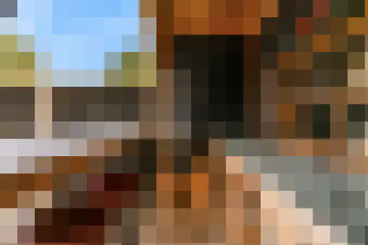 Europasingel 86 Wervershoof thumbnail 35
