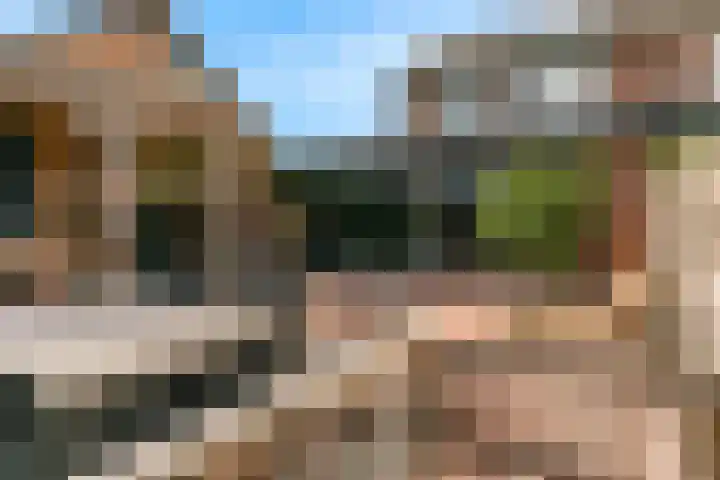 Europasingel 86 Wervershoof thumbnail 37