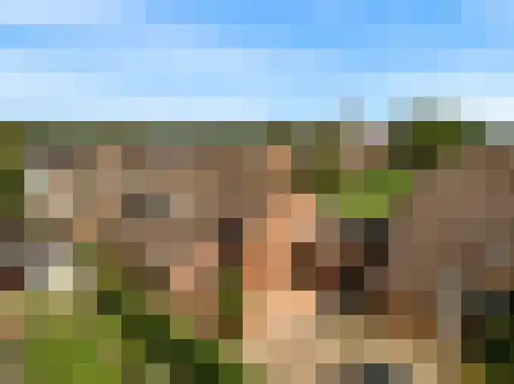 Europasingel 86 Wervershoof thumbnail 44
