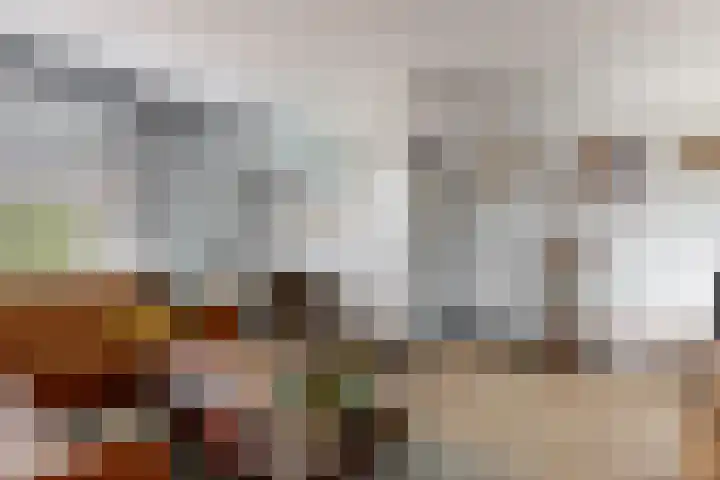 Europasingel 86 Wervershoof thumbnail 8