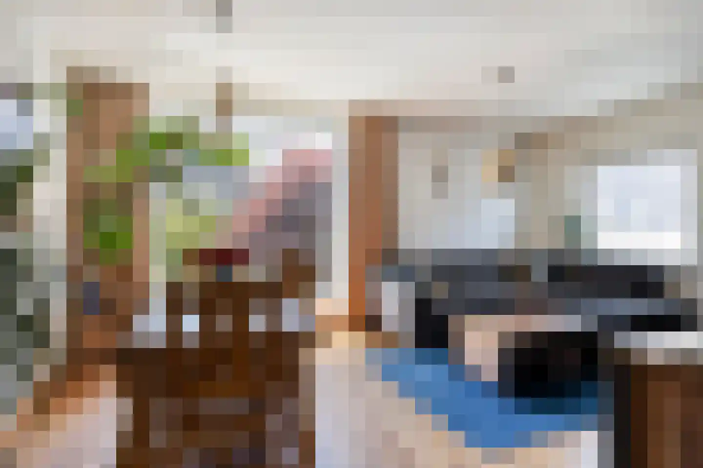 Europastraat 17 Schinnen thumbnail 14