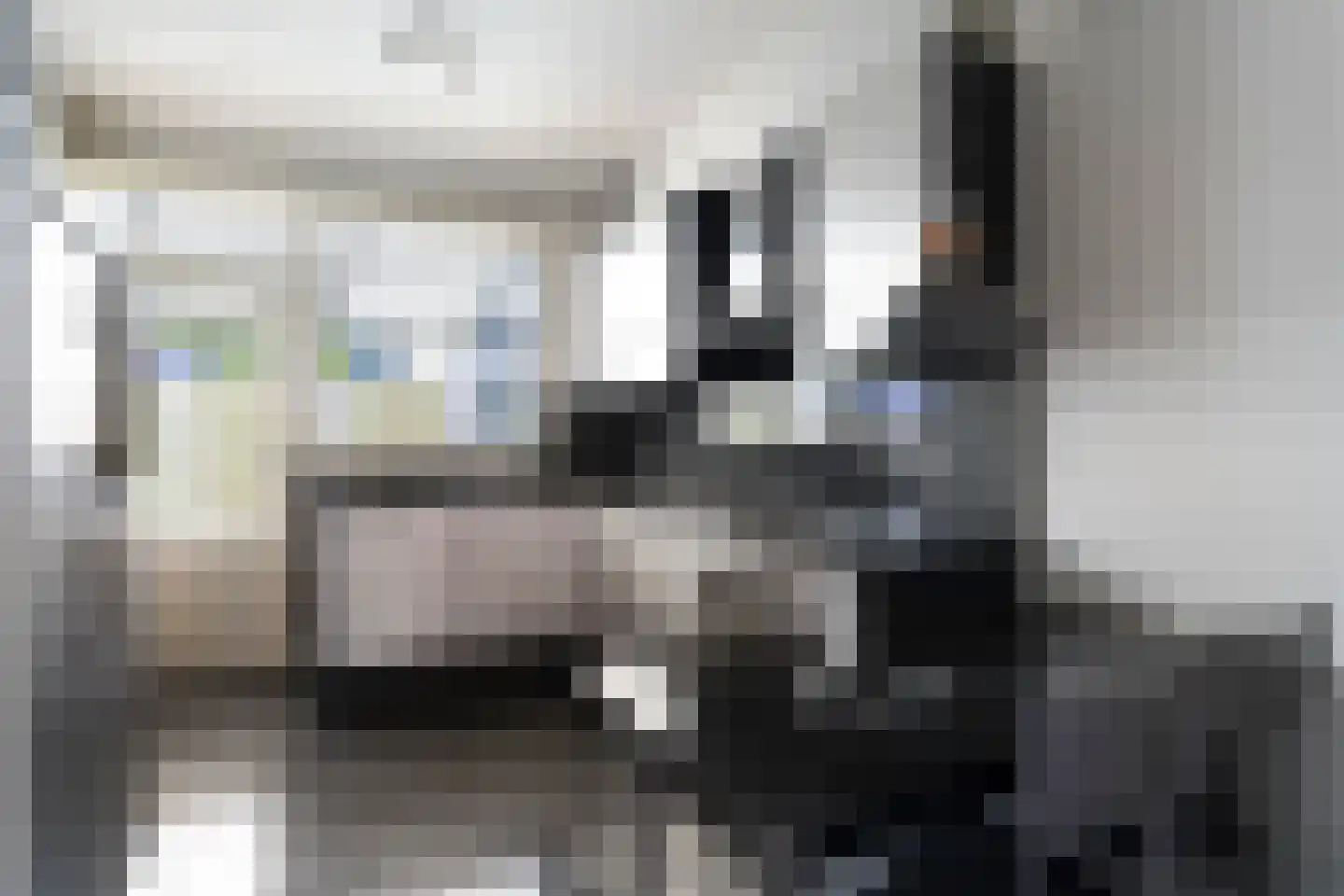 Europastraat 17 Schinnen thumbnail 16