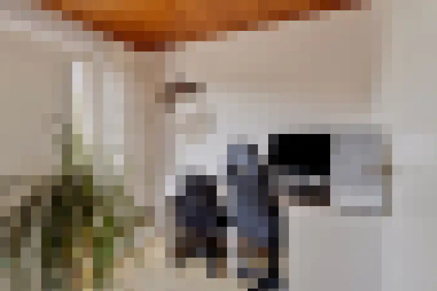 Europastraat 17 Schinnen thumbnail 24