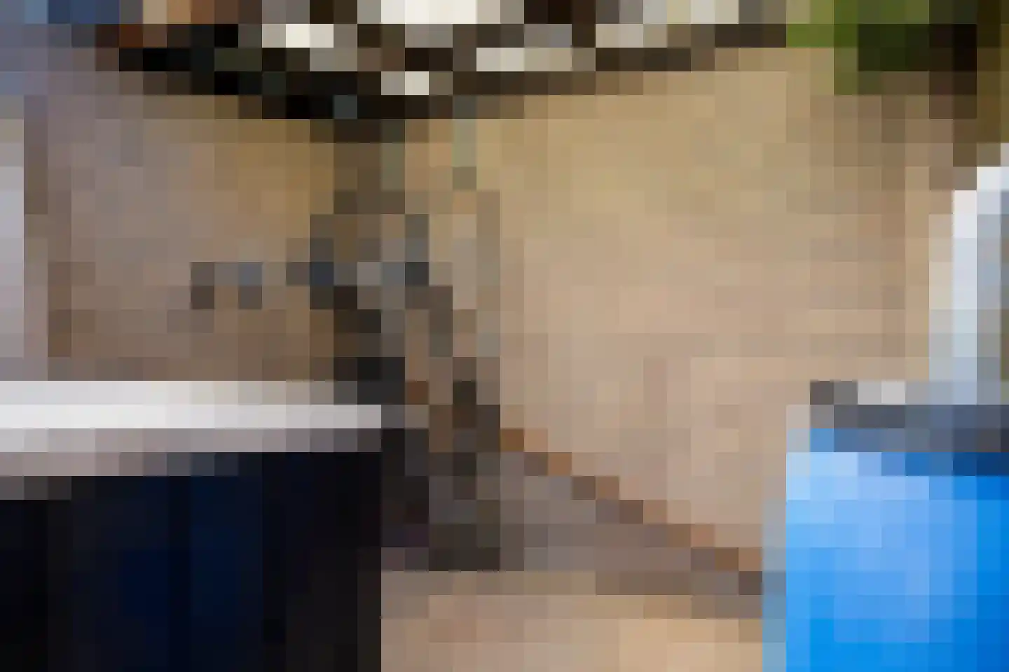 Europastraat 17 Schinnen thumbnail 36