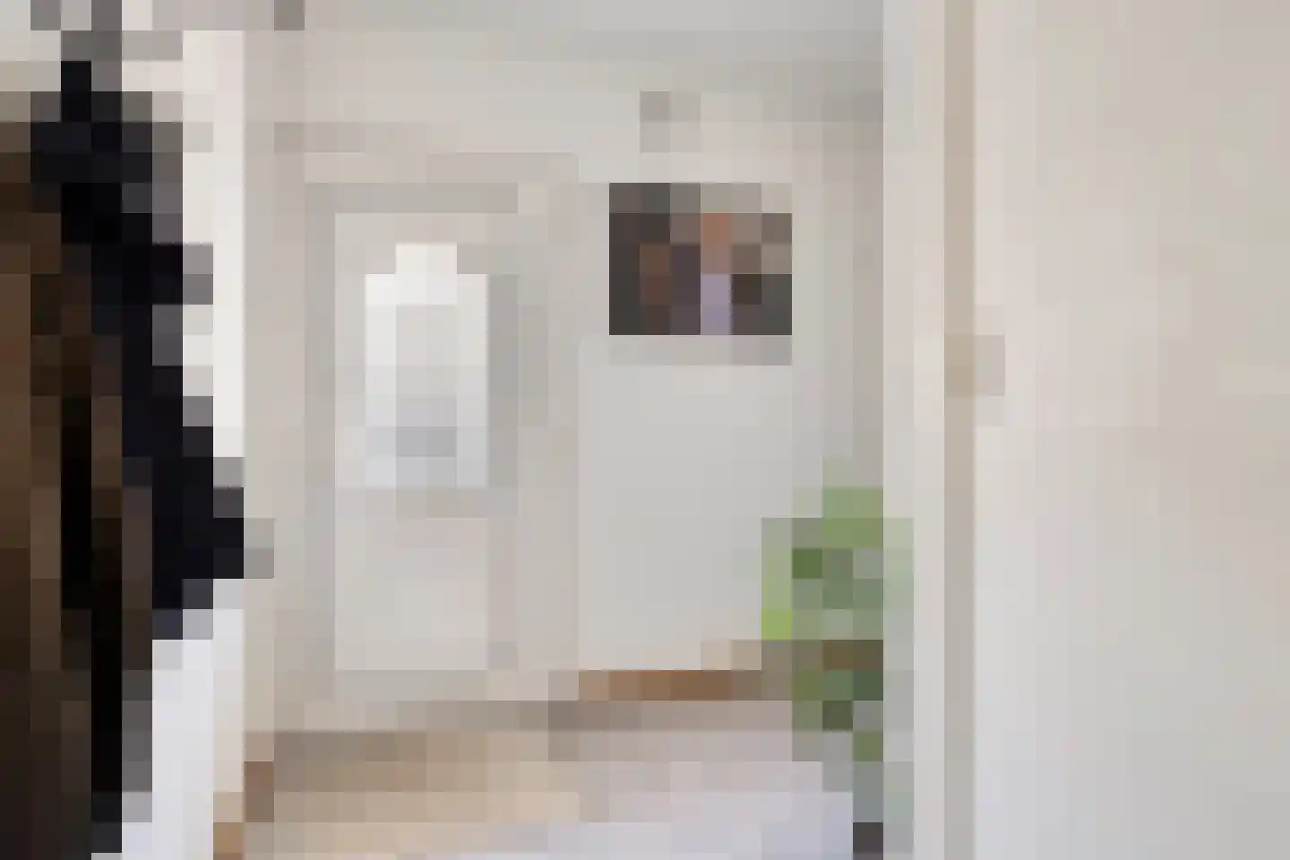 Europastraat 17 Schinnen thumbnail 6