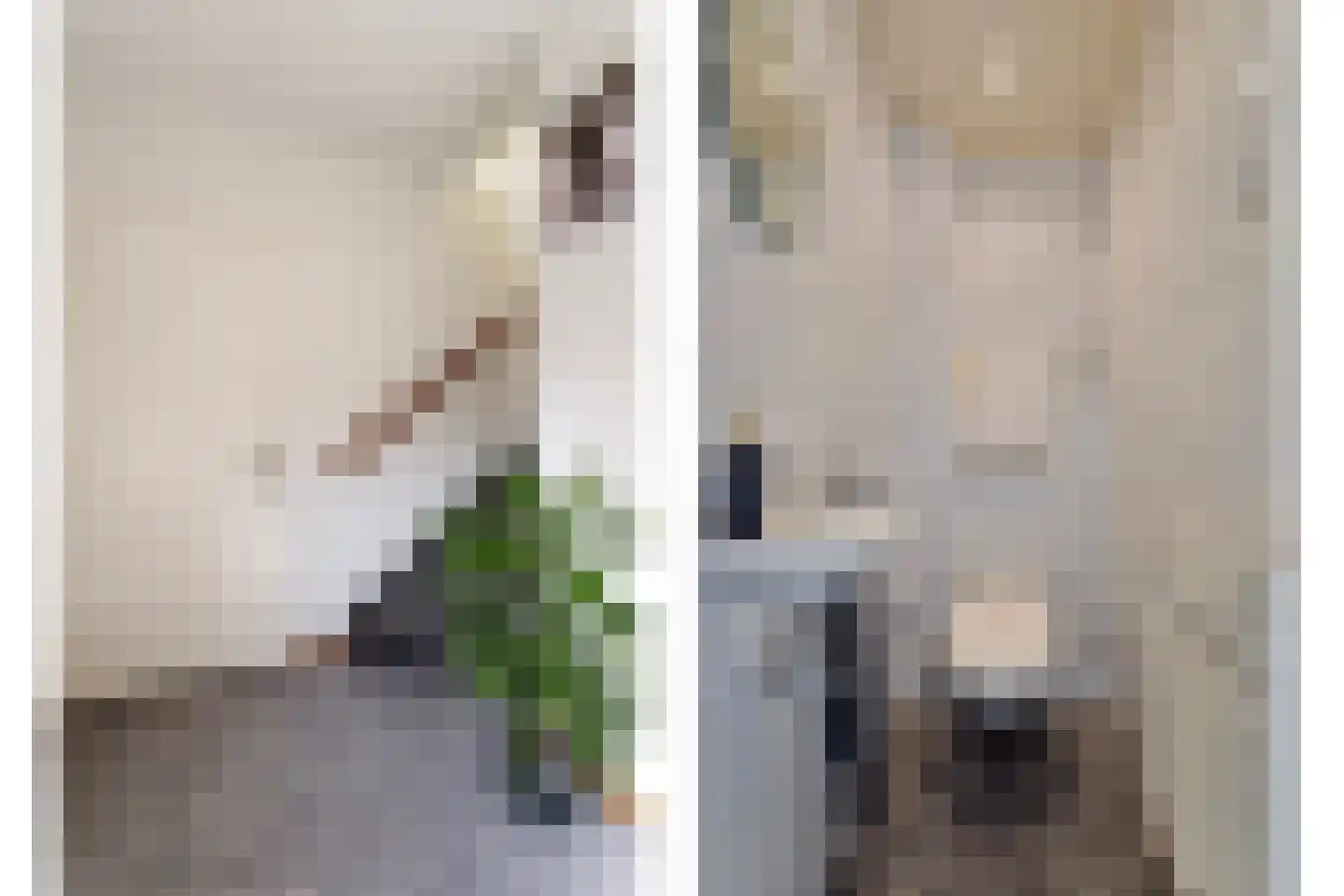 Europastraat 17 Schinnen thumbnail 7