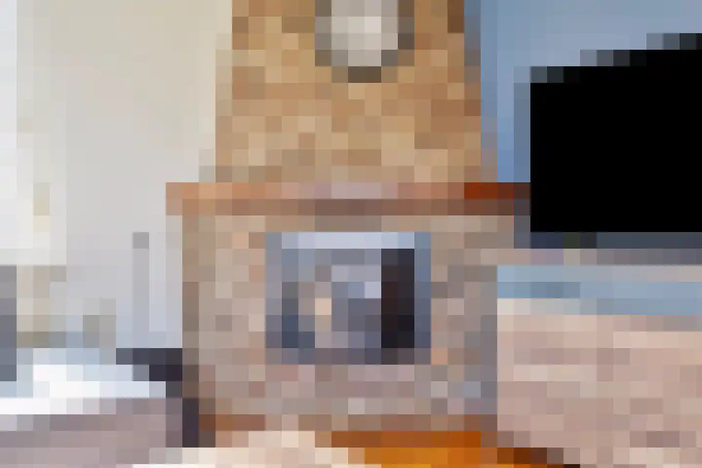 Europastraat 17 Schinnen thumbnail 9
