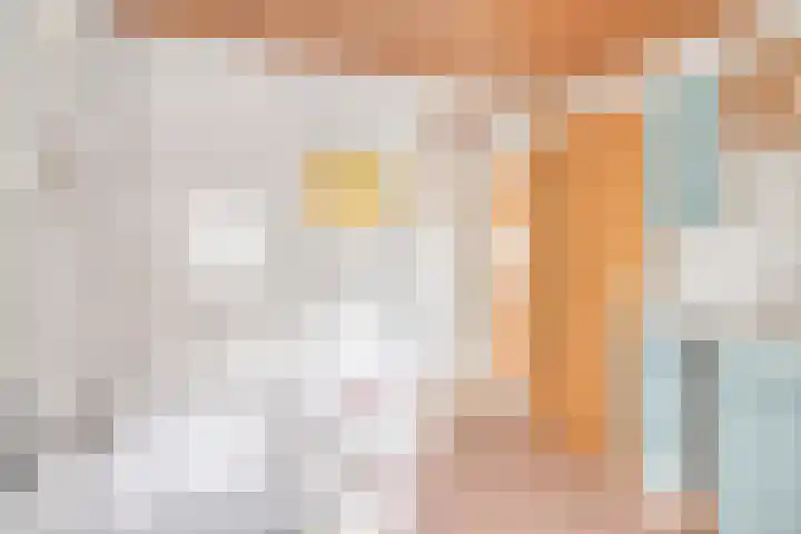 Europastraat 18 Heel thumbnail 33
