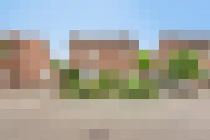 Europastraat 18 Heel thumbnail 4
