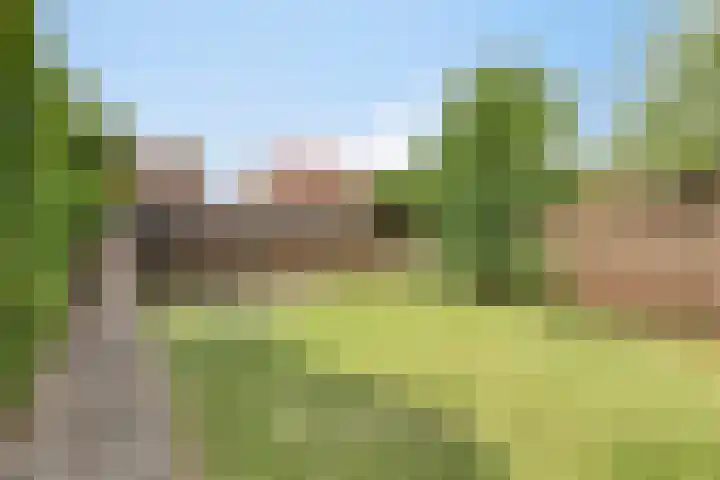 Europastraat 18 Heel thumbnail 47