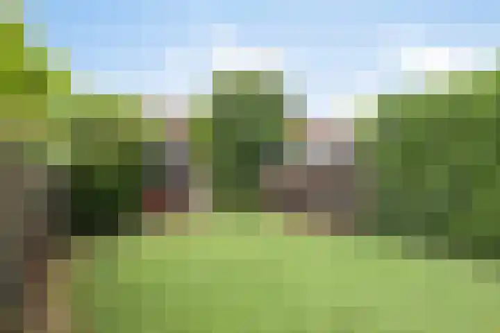 Europastraat 18 Heel thumbnail 48