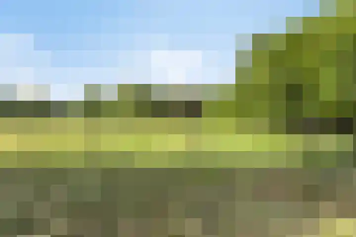 Europastraat 18 Heel thumbnail 62