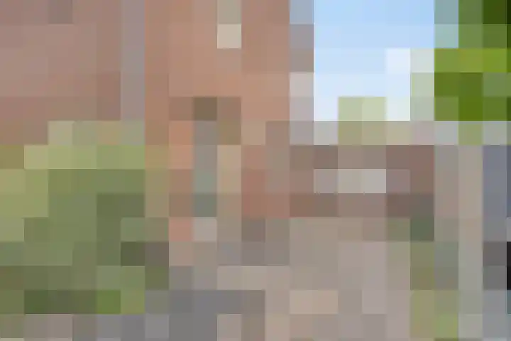 Europastraat 18 Heel thumbnail 7