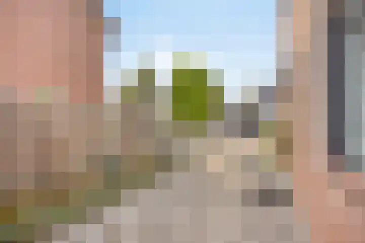 Europastraat 18 Heel thumbnail 8