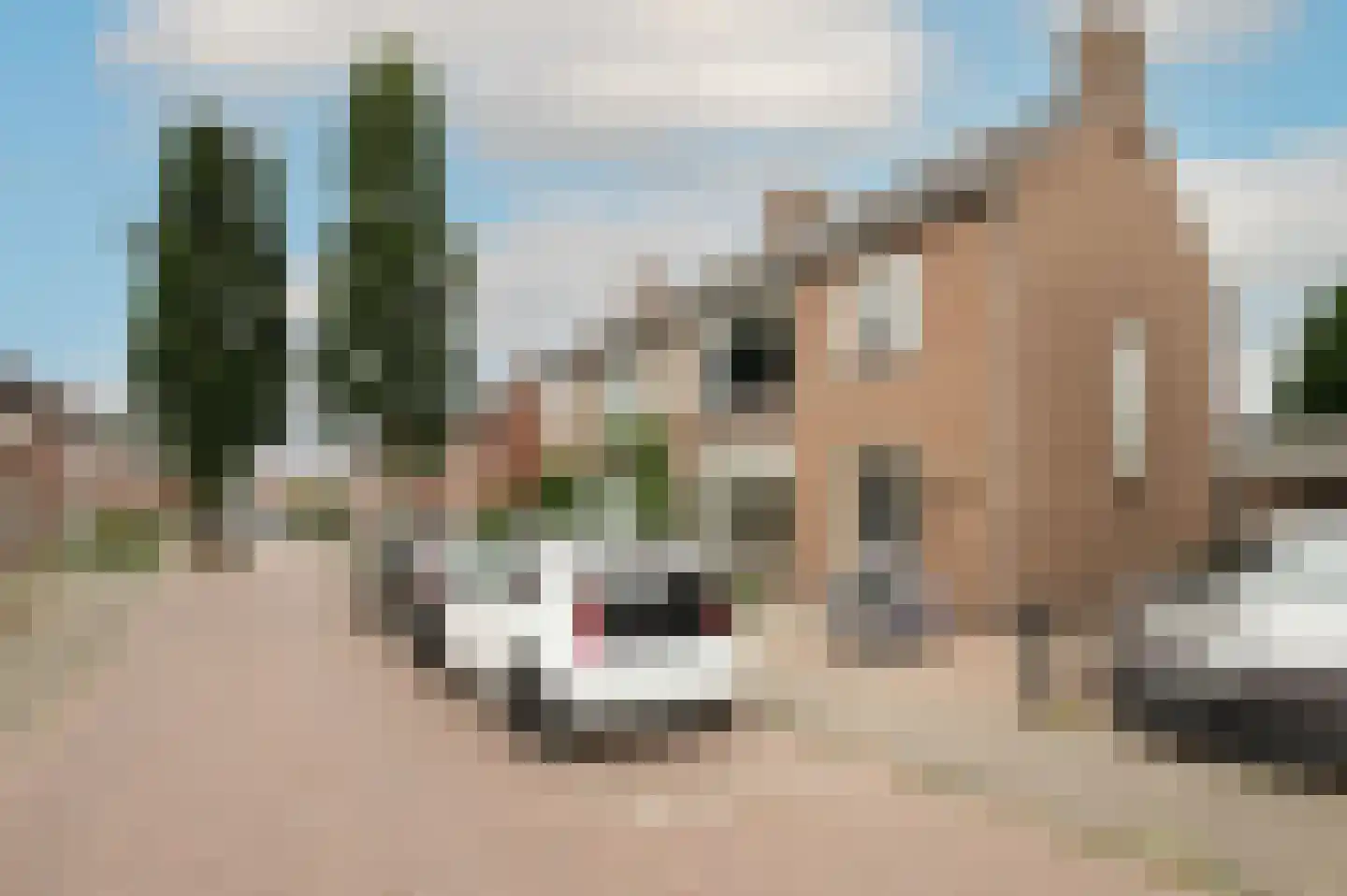 Europastraat 19 Ossendrecht thumbnail 41