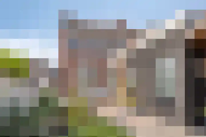 Europastraat 2 Ossendrecht thumbnail 24