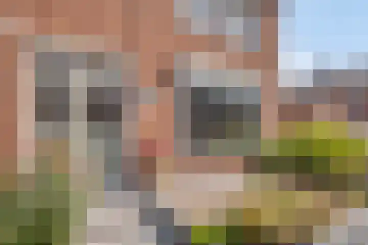 Europastraat 2 Ossendrecht thumbnail 7