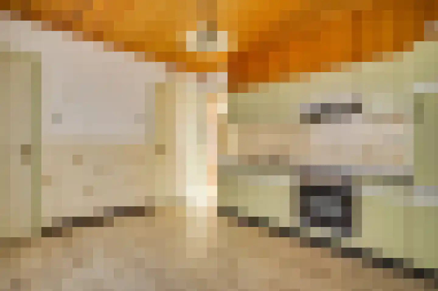 Europastraat 20 Heel thumbnail 15