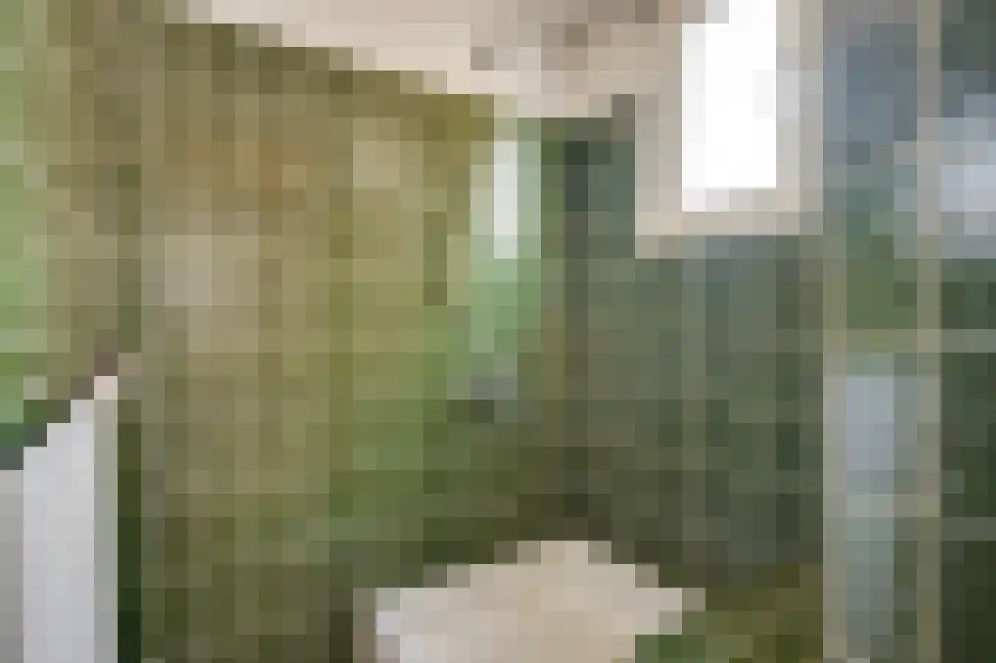 Europastraat 20 Heel thumbnail 16