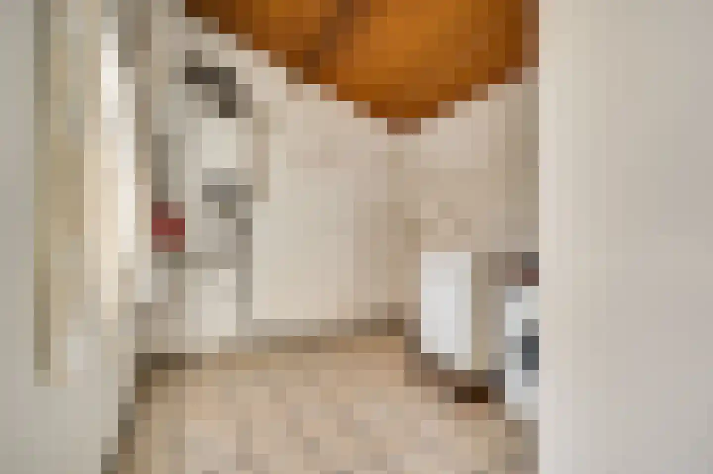 Europastraat 20 Heel thumbnail 18