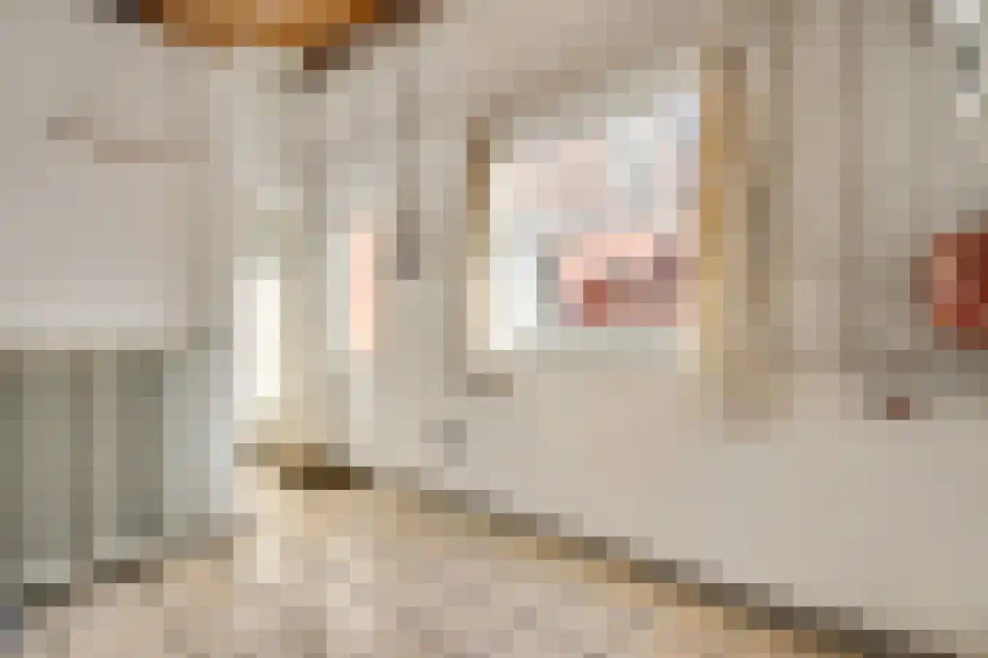 Europastraat 20 Heel thumbnail 19