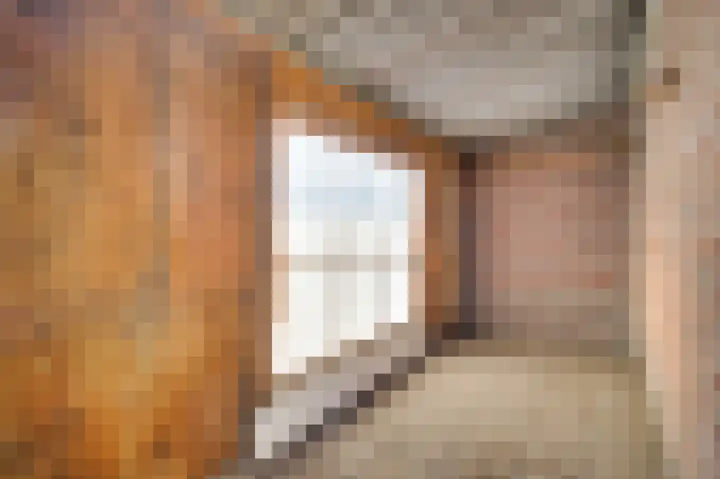 Europastraat 20 Heel thumbnail 30