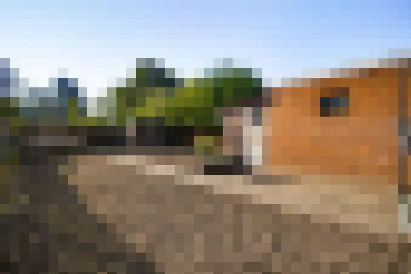Europastraat 20 Heel thumbnail 35