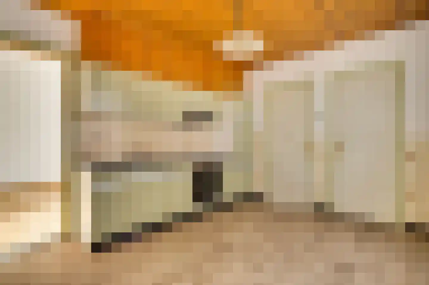 Europastraat 20 Heel thumbnail 4