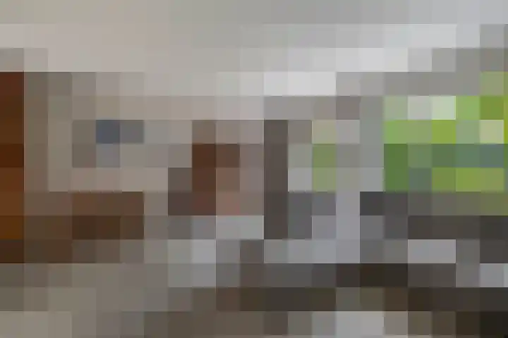 Europastraat 20 Krommenie thumbnail 10