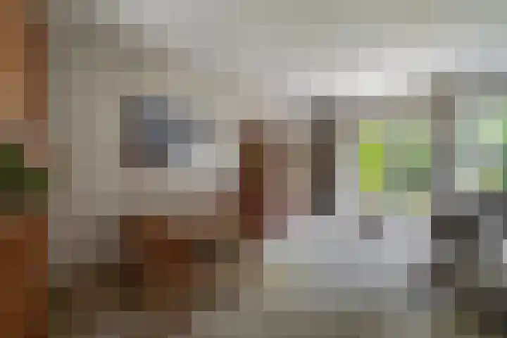 Europastraat 20 Krommenie thumbnail 13