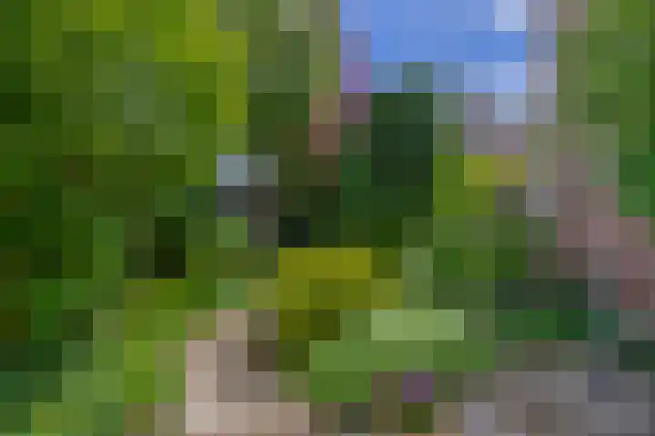 Europastraat 20 Krommenie thumbnail 18