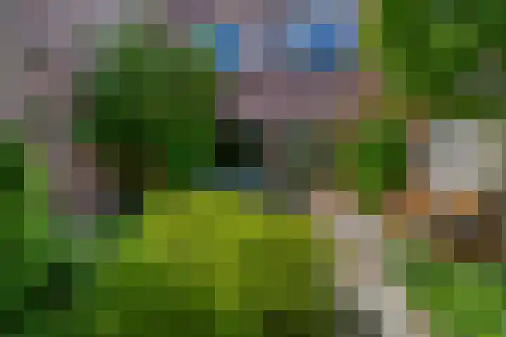Europastraat 20 Krommenie thumbnail 21