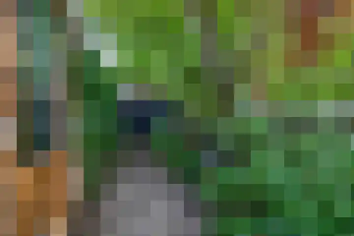 Europastraat 20 Krommenie thumbnail 22