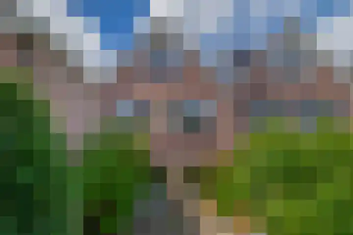 Europastraat 20 Krommenie thumbnail 23