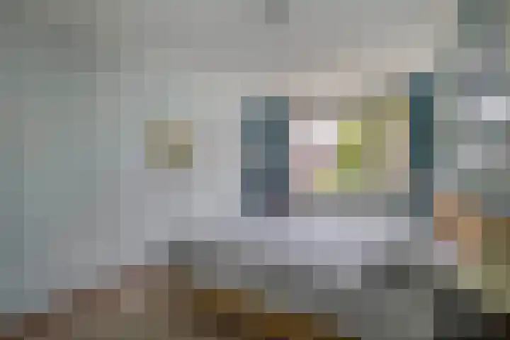 Europastraat 20 Krommenie thumbnail 26