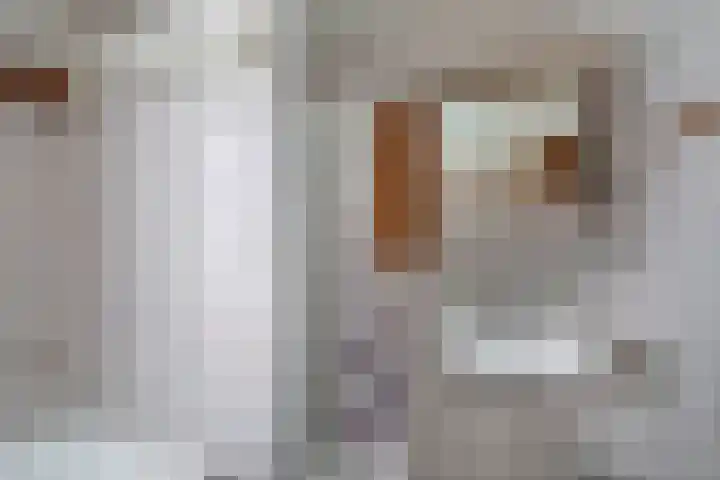 Europastraat 20 Krommenie thumbnail 30