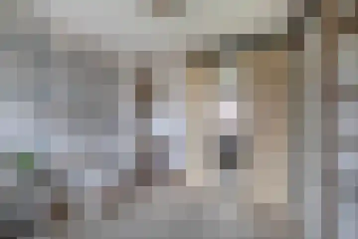 Europastraat 20 Krommenie thumbnail 32