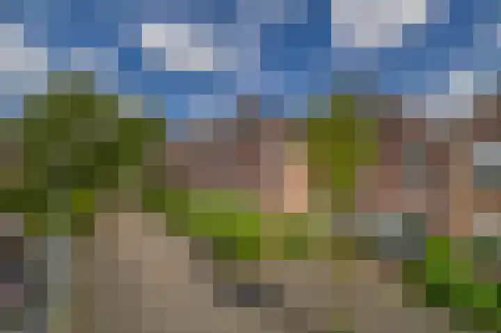 Europastraat 20 Krommenie thumbnail 7