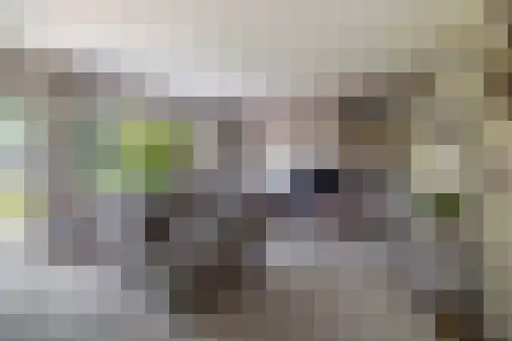 Europastraat 20 Krommenie thumbnail 9