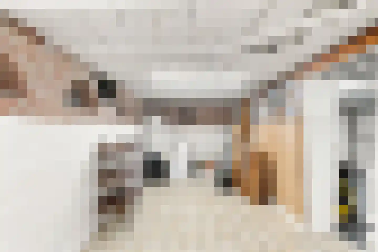 Europastraat 24 Ulestraten thumbnail 18