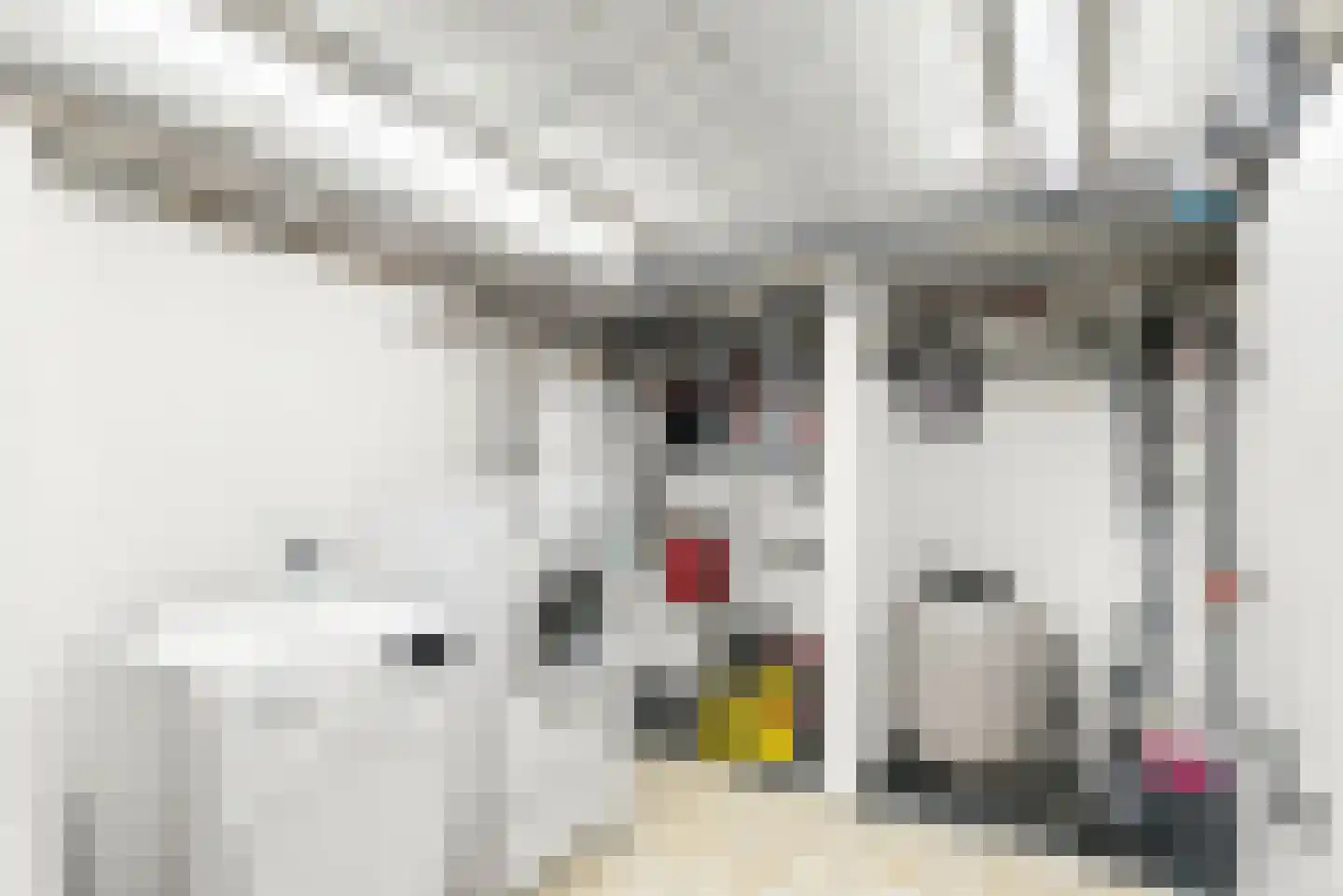 Europastraat 24 Ulestraten thumbnail 20