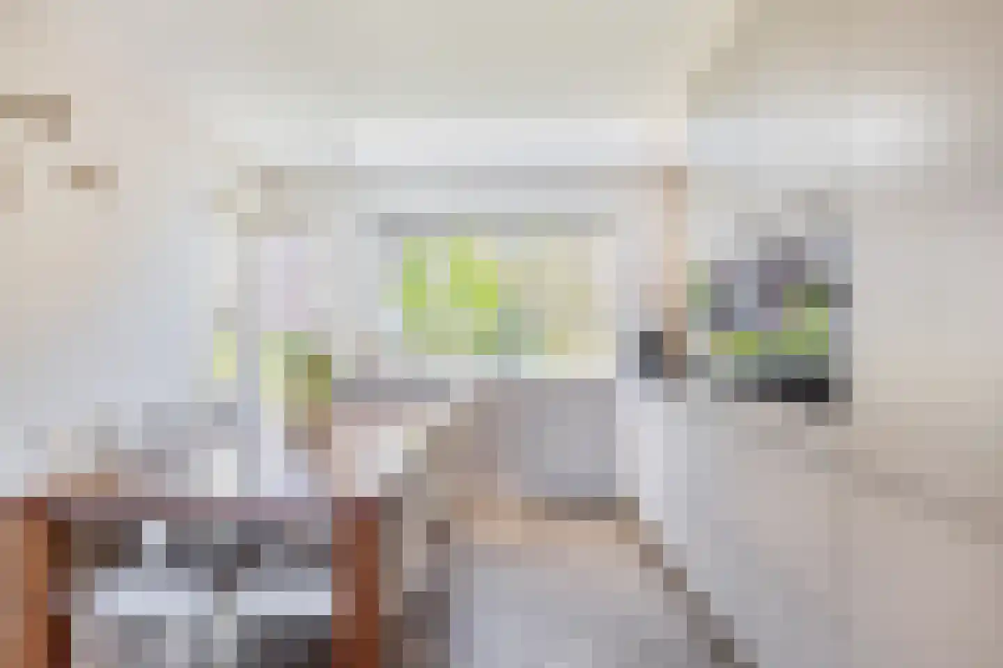 Europastraat 29 Krommenie thumbnail 12