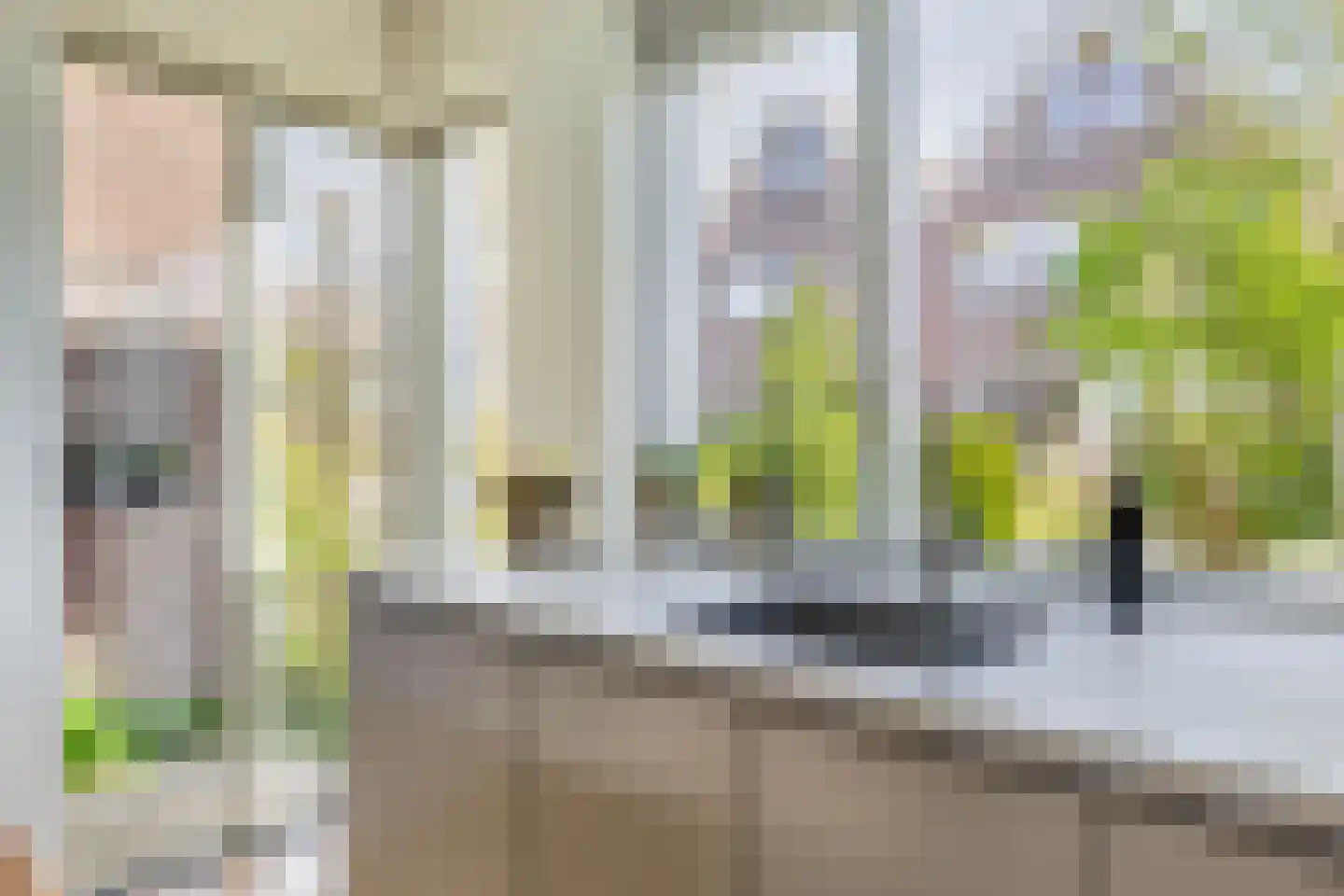 Europastraat 29 Krommenie thumbnail 17